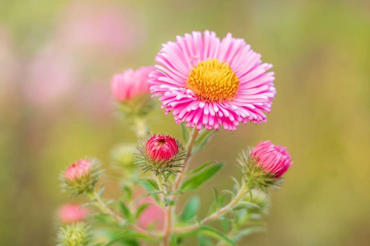 小学生英语作10篇：我的暑假生活，简单易学，中英对照+老师点评