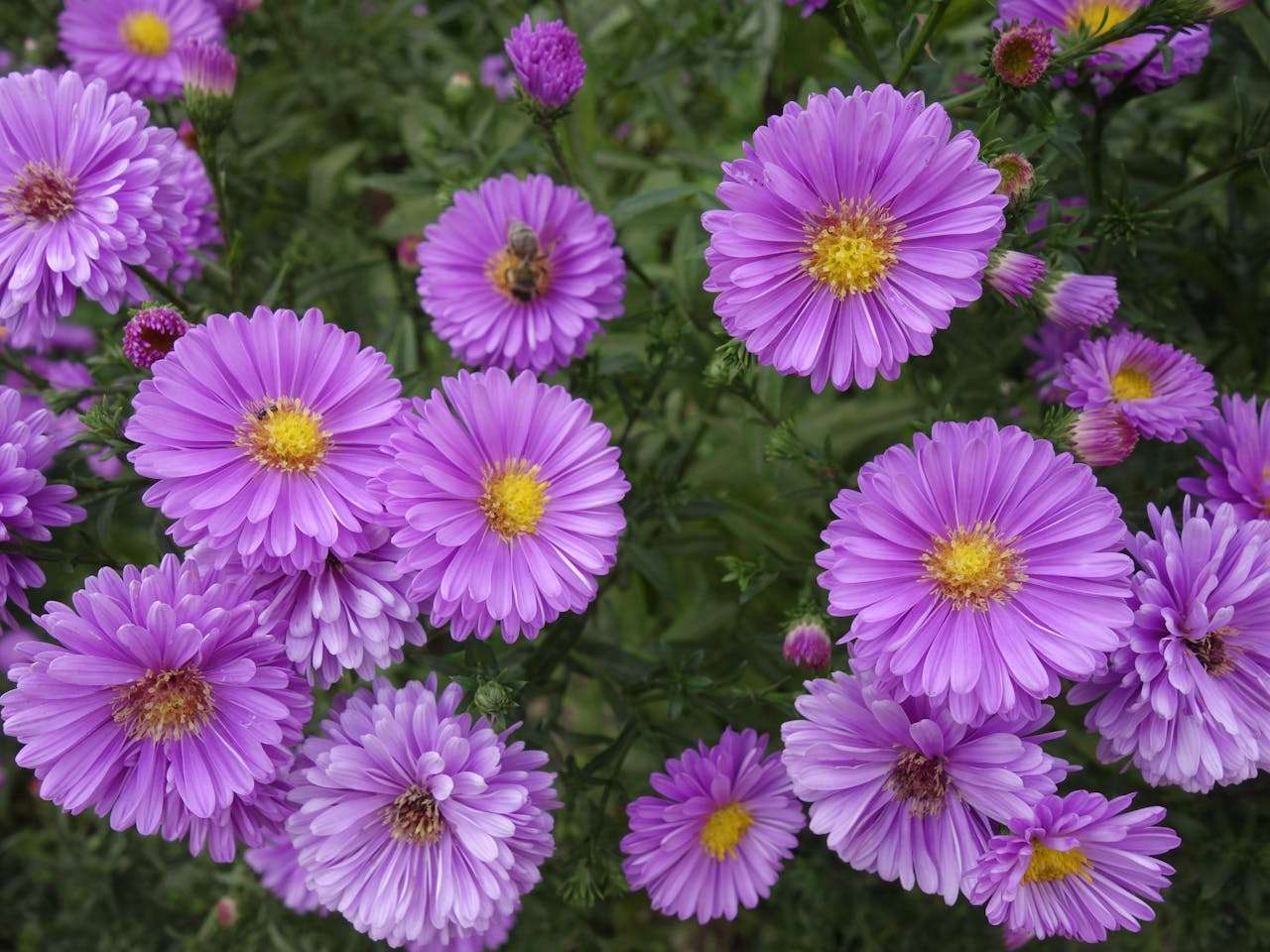 小学生英语作文10篇：我的暑假生活，轻松学会写假期故事