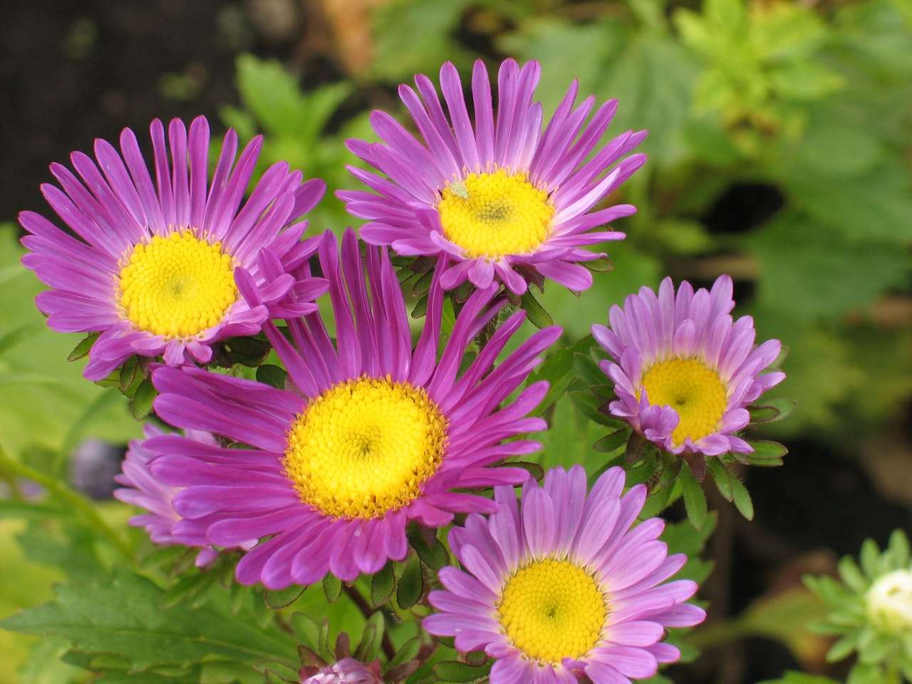 旅行回忆录：小学生假期旅游英语作文4篇（带地点描写）