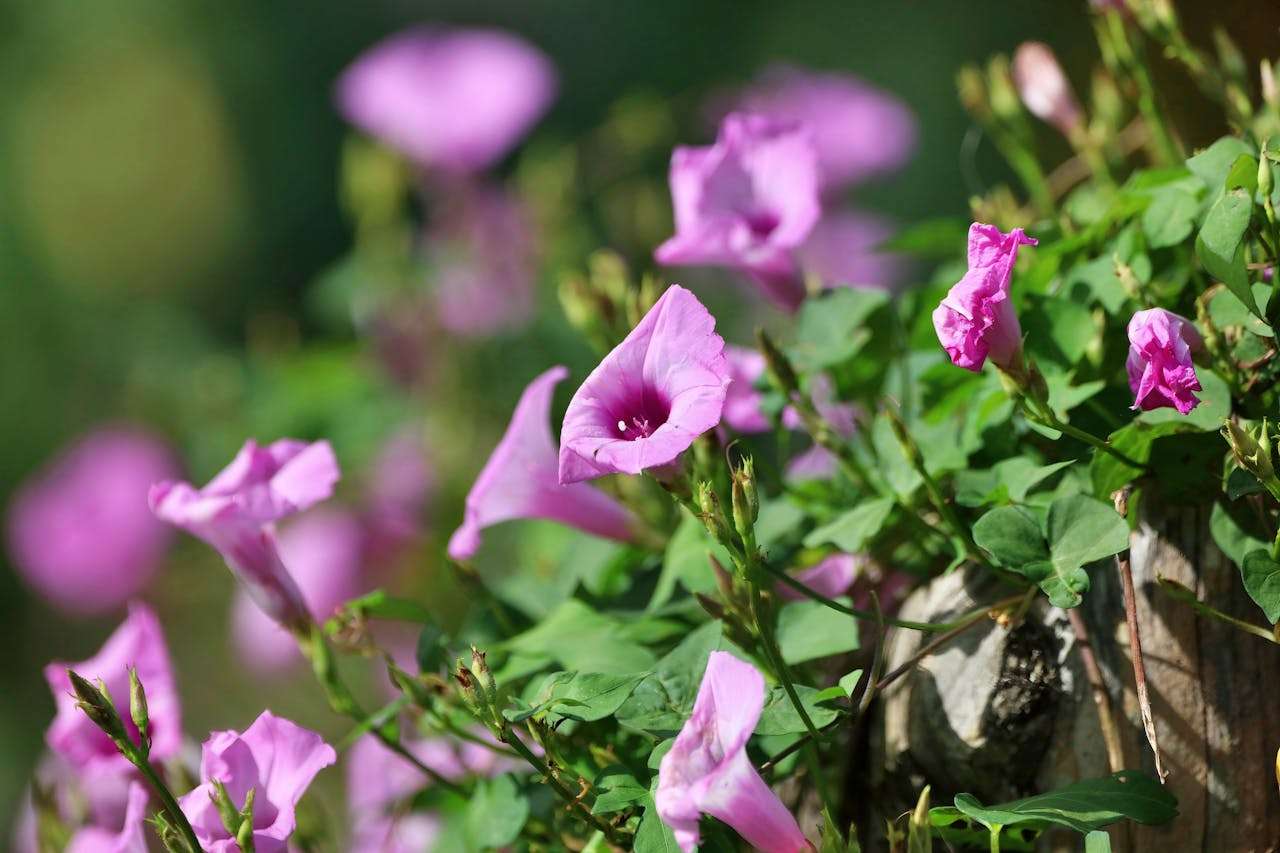 客户说太贵了？5个英文议价应对邮件模板巧妙守住利润