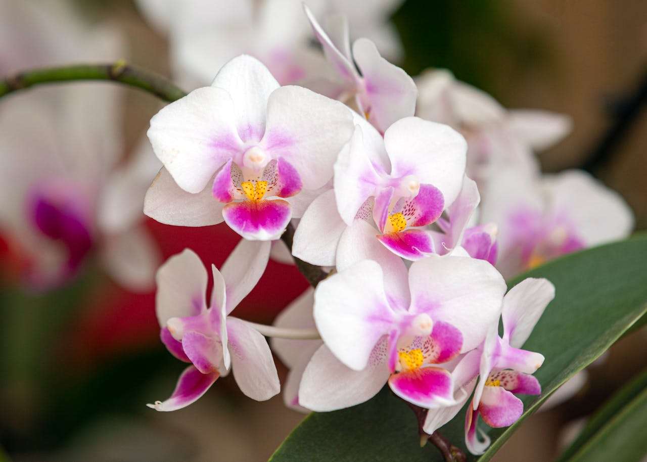 节日营销怎么做？8个英文促销邮件模板提升客户打开率