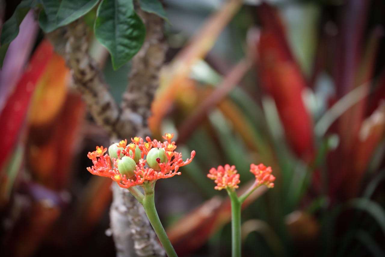 客户迟迟不回复？5个高情商英文跟进邮件模板帮你破冰