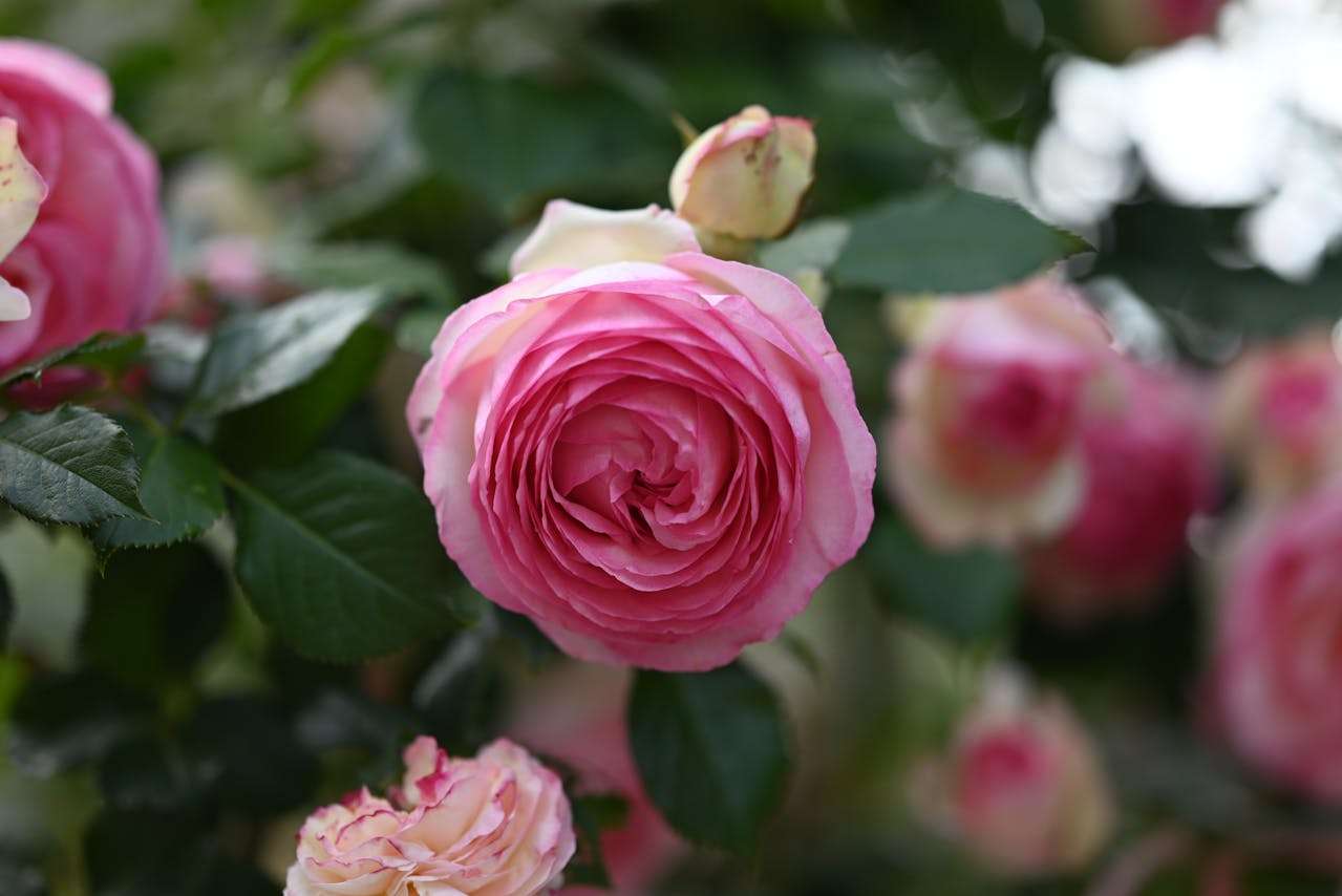 跨境电商卖家收藏：8个实用英文客服邮件模板，提升客户满意度