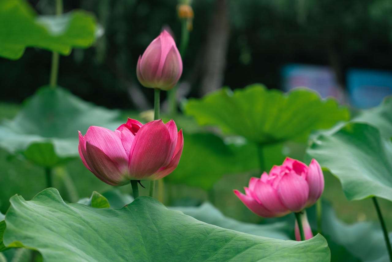 客户投诉别慌！9个英文售后处理邮件模板教你专业应对