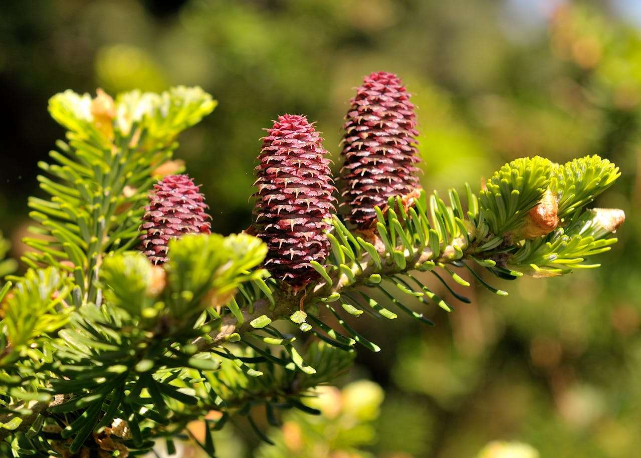 大学英语记叙文写作指南：3篇生动英语作文+结构拆解