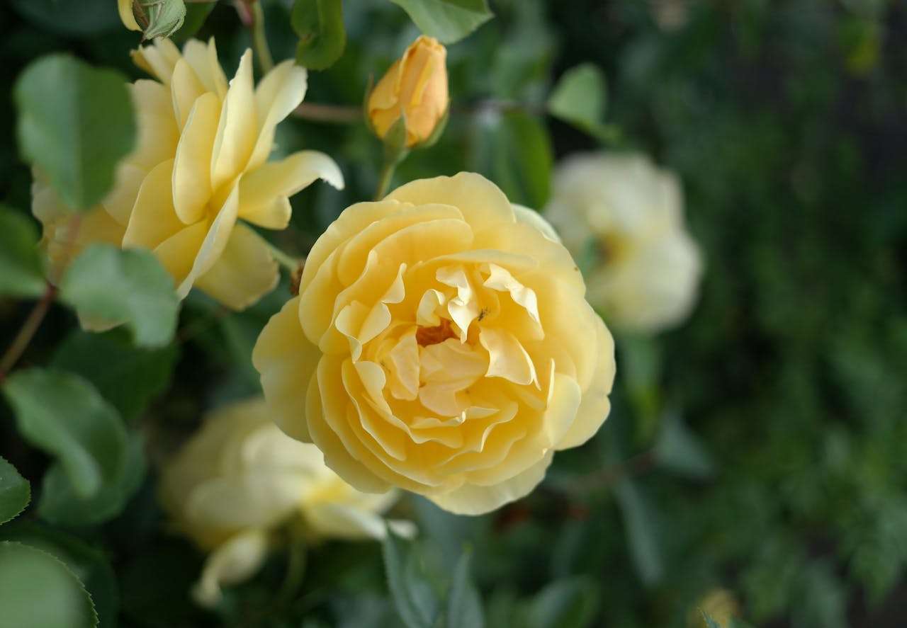 合作洽谈必备：9个英文商务合作提案邮件模板