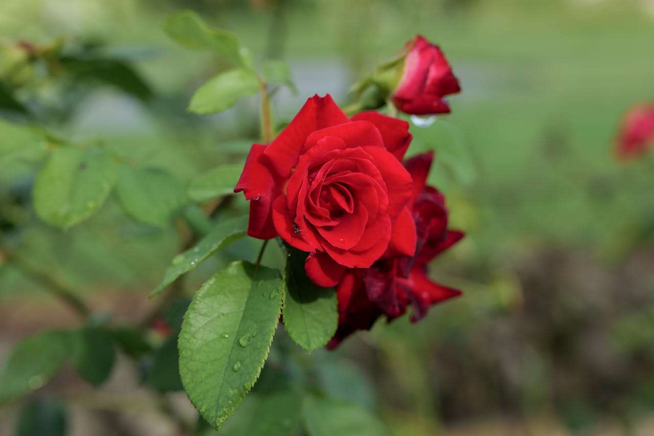 客户回复率翻倍：9个高效英文询盘回复邮件模板