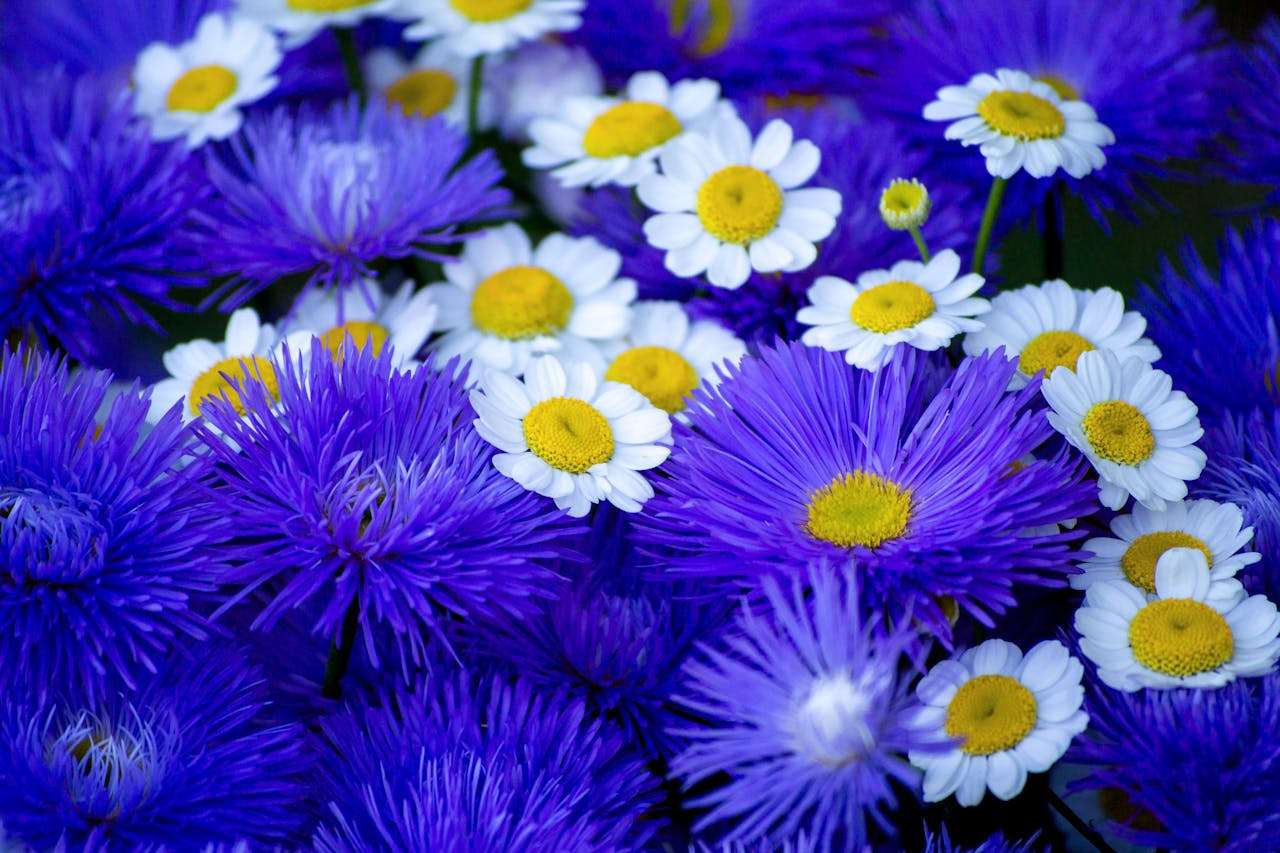 谈判利器：8个英文议价与还盘邮件模板，助你赢得主动权