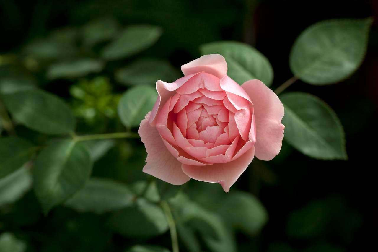 物流不慌张：9个英文运输与交付沟通邮件模板