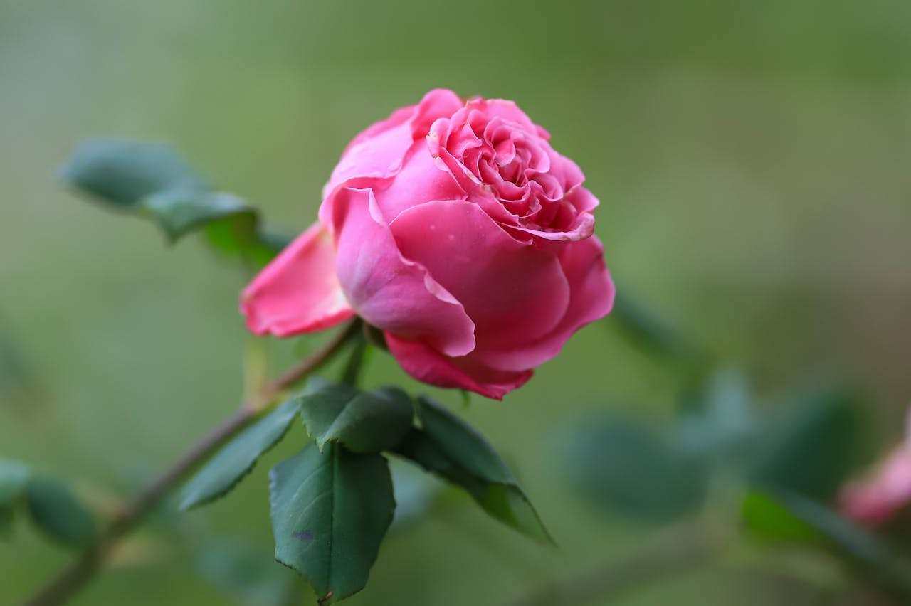 新手上路必看：8个基础商务英语邮件模板，快速写出专业级英文信