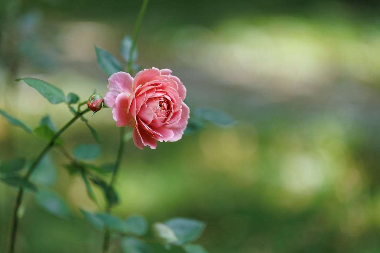 谈判加分项：6个英文议价与还价邮件模板，掌握主动权