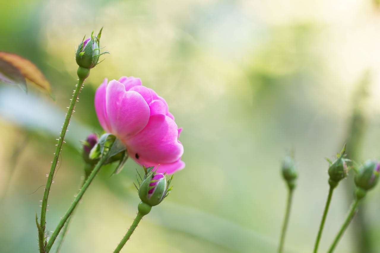 提升专业度：7个英文邮件模板搞定订单确认与合同沟通