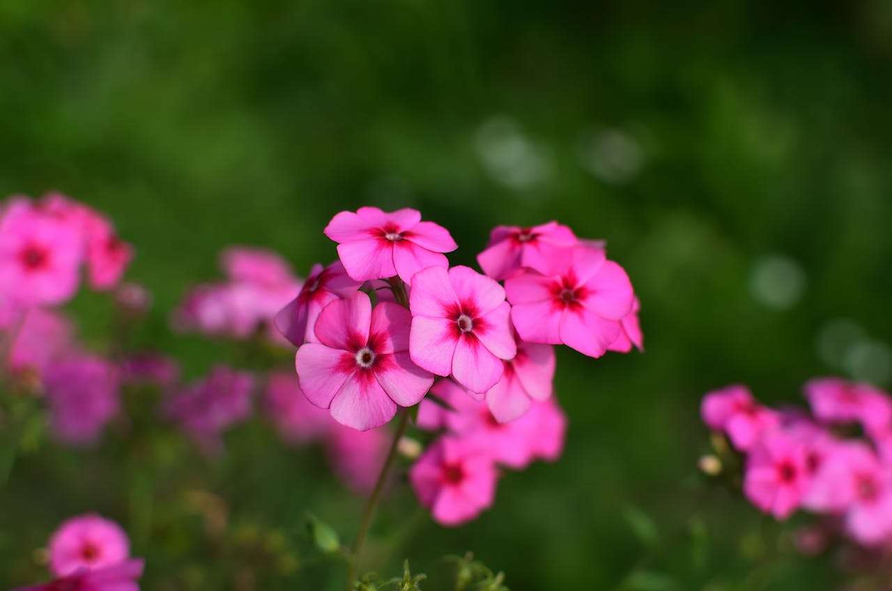 物流与售后不慌张：8个英文邮件模板应对发货与客户投诉