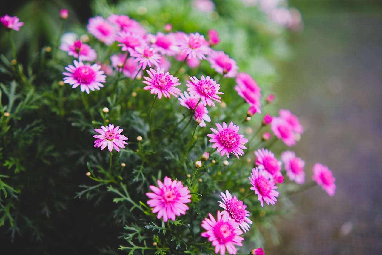 客户迟迟不回复？7个英文跟进邮件模板帮你有效催单