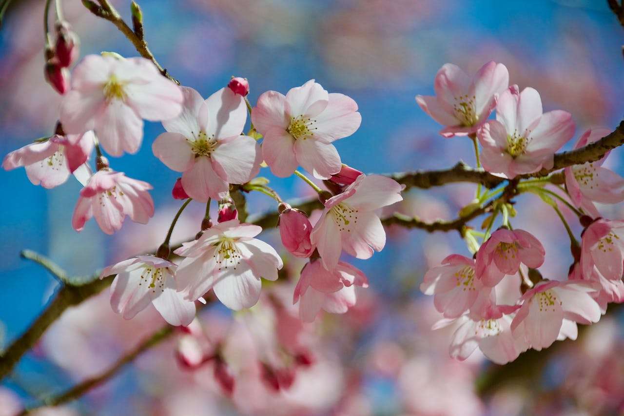 开发信总被忽略？7个高打开率英文邮件模板揭秘