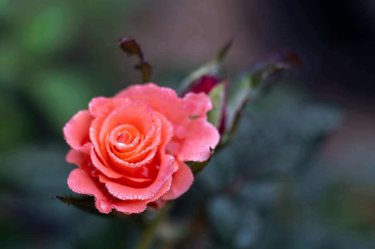 客户迟迟不回复？试试这9个催回复英文邮件模板