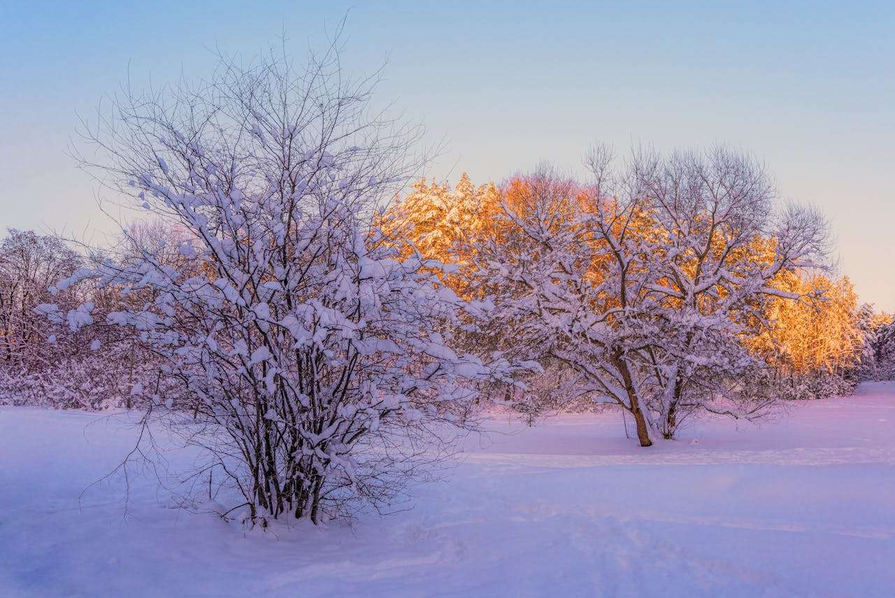 客户投诉别慌！9个英文售后处理邮件模板教你冷静应对