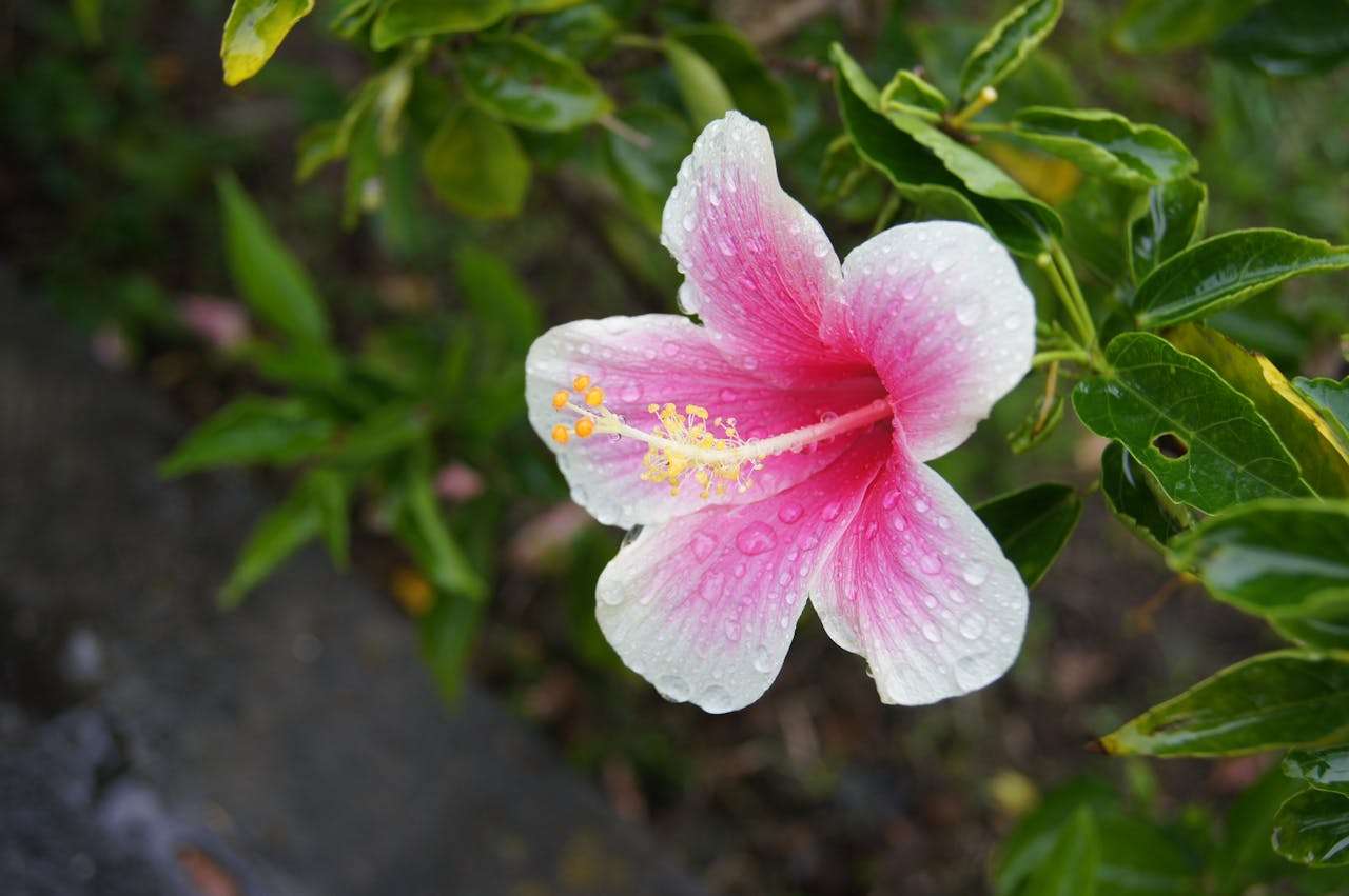 小学生英语写作提升：我的一天英语作文6篇，时间表达全掌握