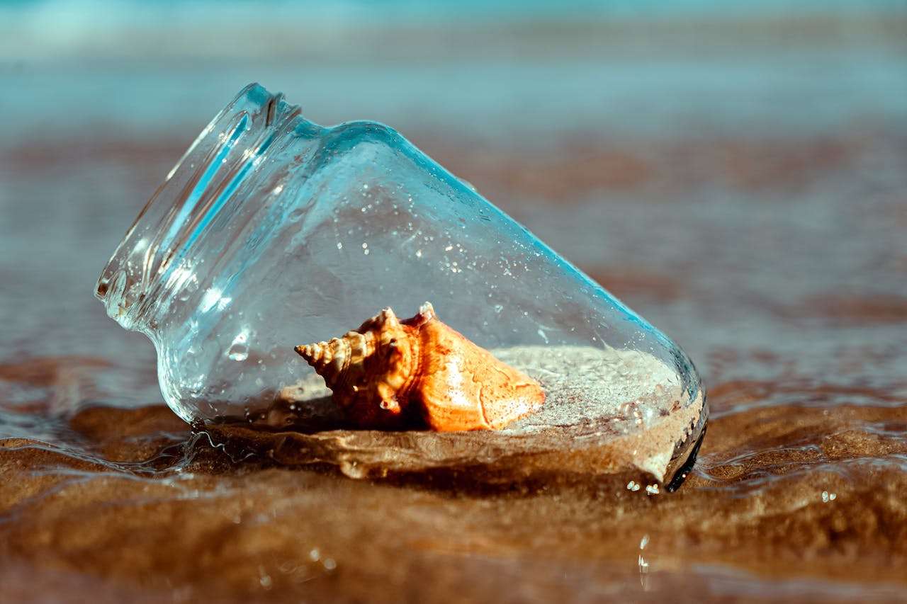 环保从小做起：小学生环保英语作文4篇（附词汇解析）