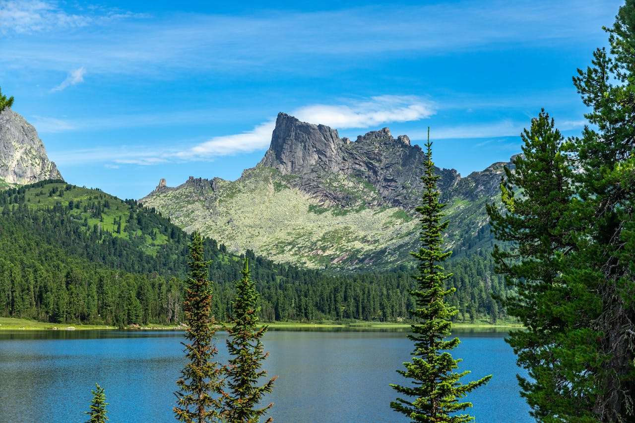 未来计划英语作文6篇：初中生理想与目标写作全解析