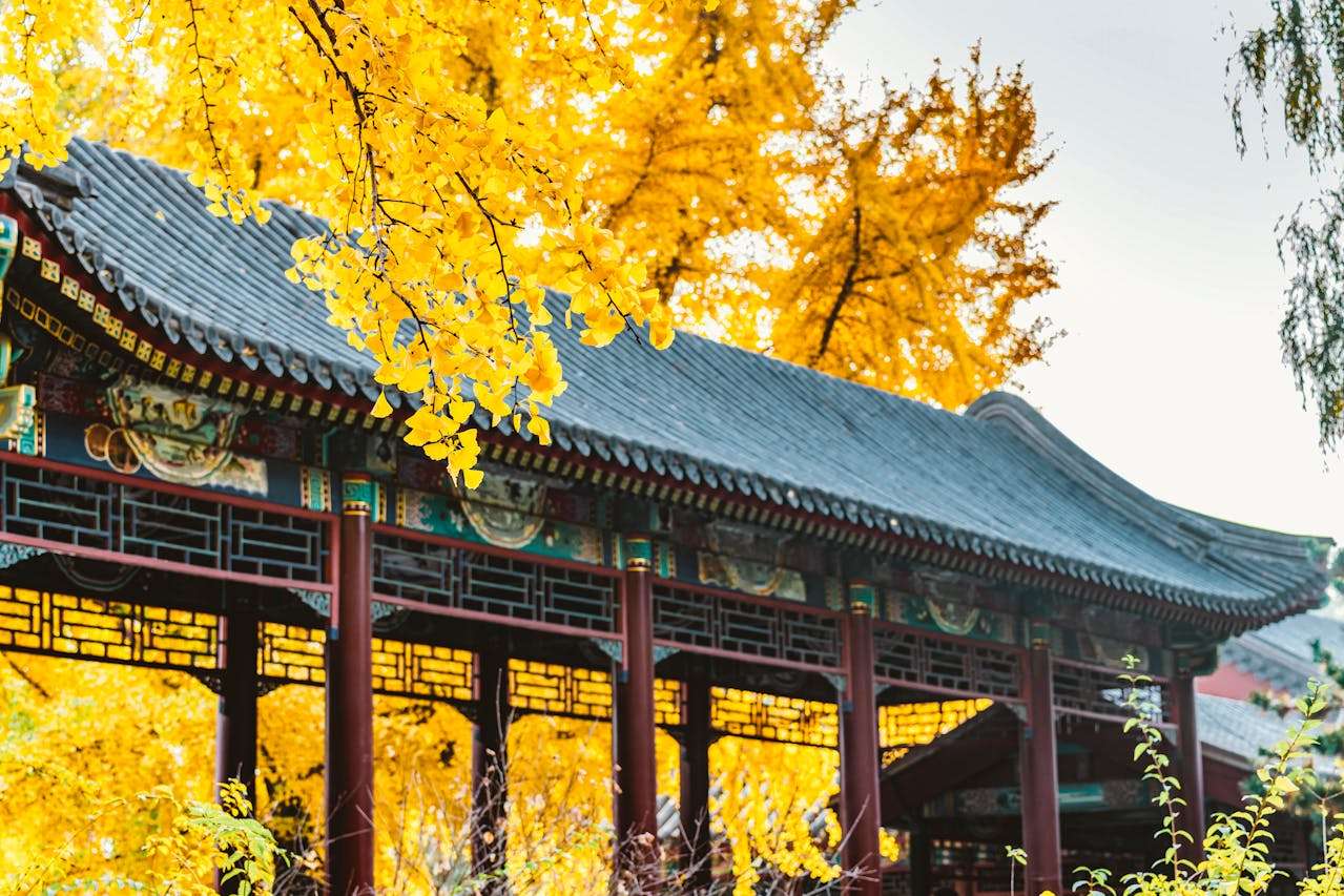 我喜欢的节日：4篇中国传统节日英语作文精讲