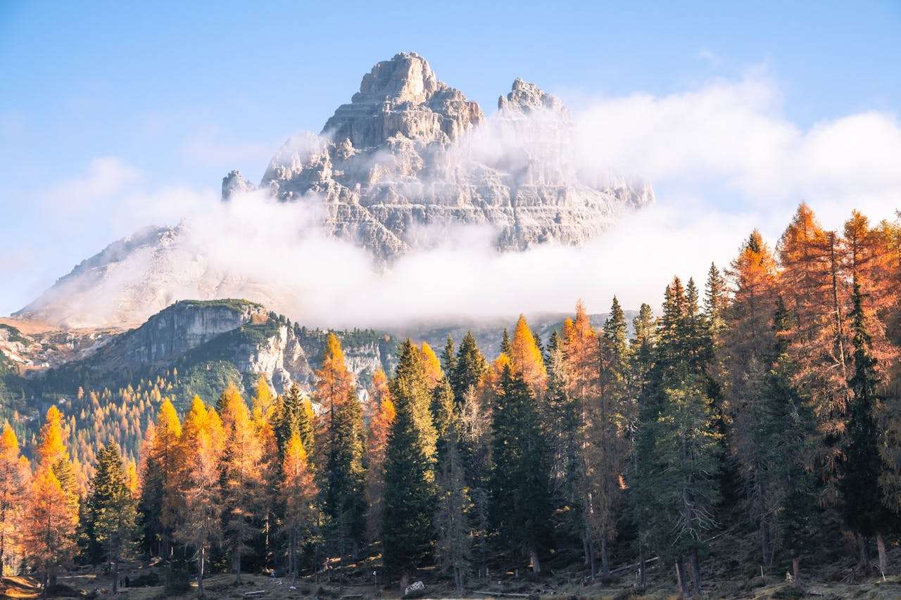 我的假期生活：5篇初中英语作文，轻松学会描述经历