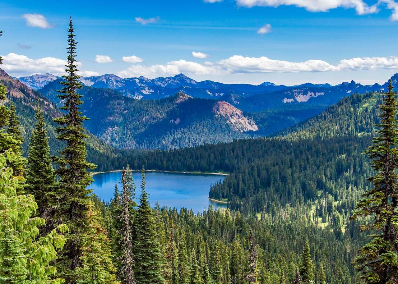 高中英语写作高频话题：如何应对学习压力【5篇英语作文+精析】