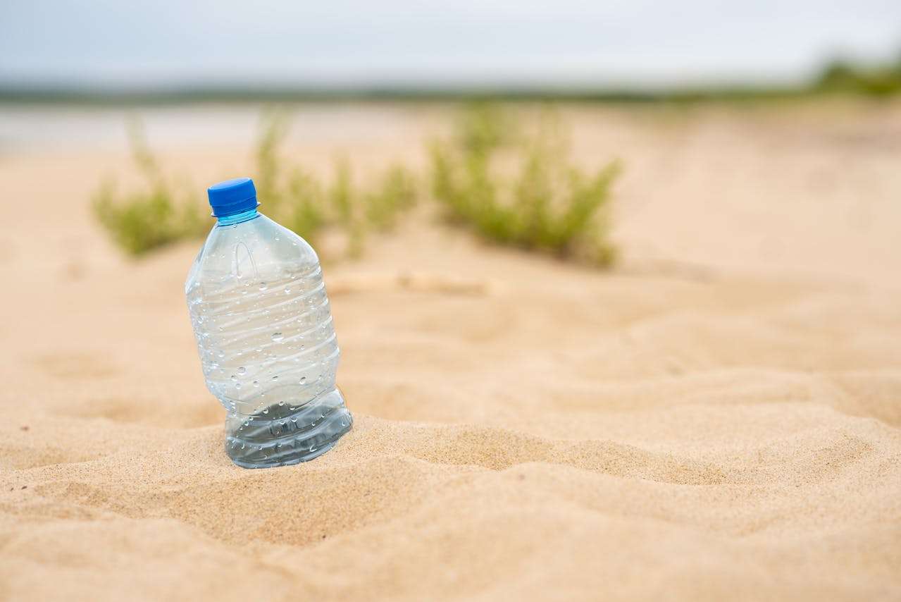 环保主题英语作文5篇：高中生必看的可持续发展写作素材