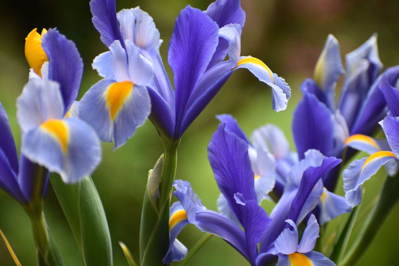 大学四年规划英语作文：3篇例文+写作思路解析