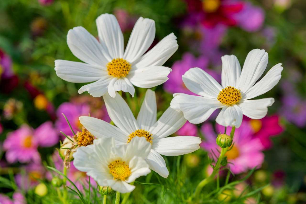 掌握三种比喻手法：从英语经典文学中学修辞表达