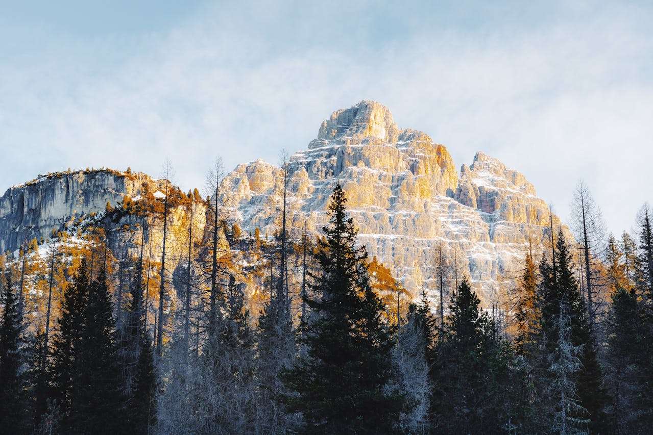 从海明威到村上春树：英语美文中的孤独美学解析