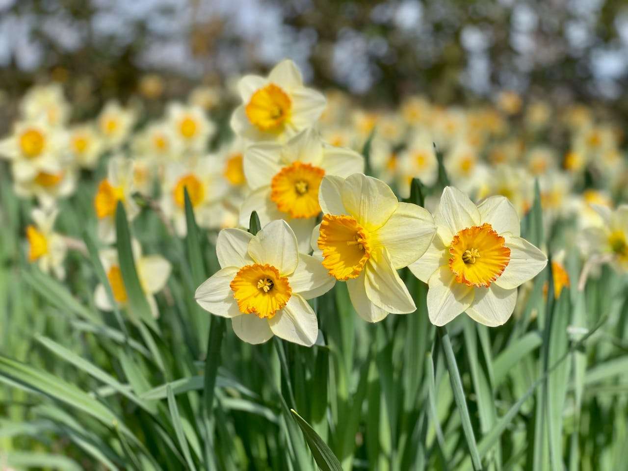 样品寄出后怎么跟？6个英文样品跟进邮件模板提高成交概率