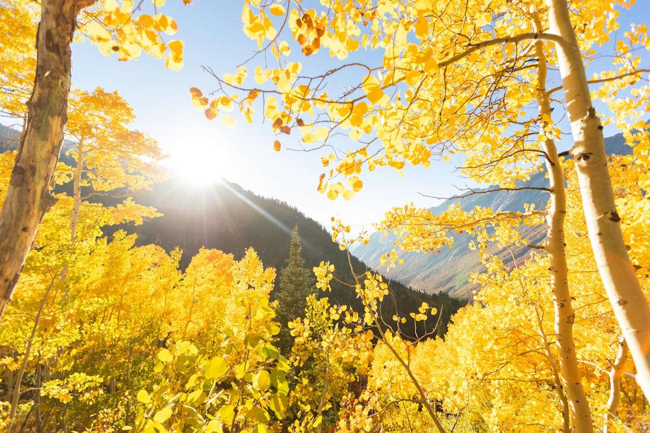 展会后黄金72小时：8个英文跟进邮件模板抓住潜在客户