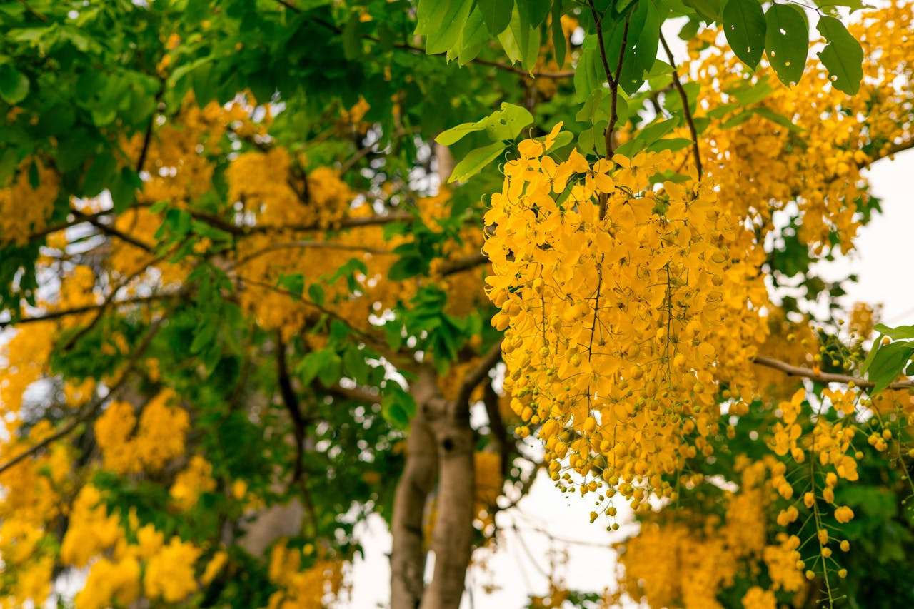 开发信总被忽略？6个高打开率英文开发邮件模板，精准打动客户