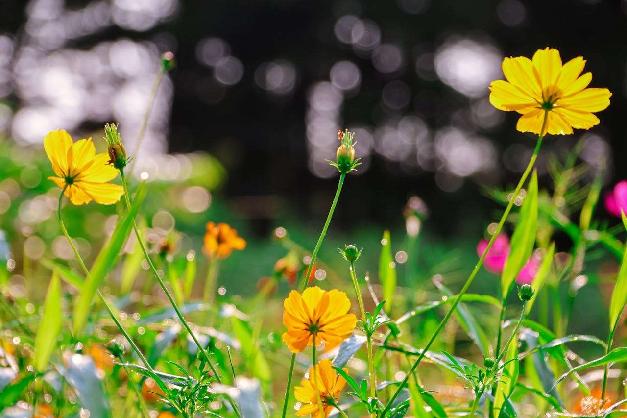 从样品到成交：7个英文邮件模板打通外贸交易全链路