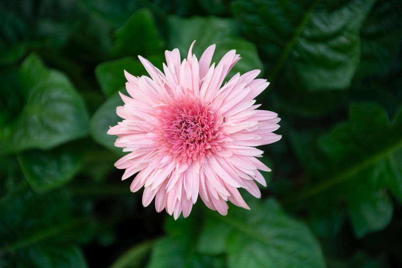 客户投诉别慌！7个英文售后处理邮件模板，化危机为转机