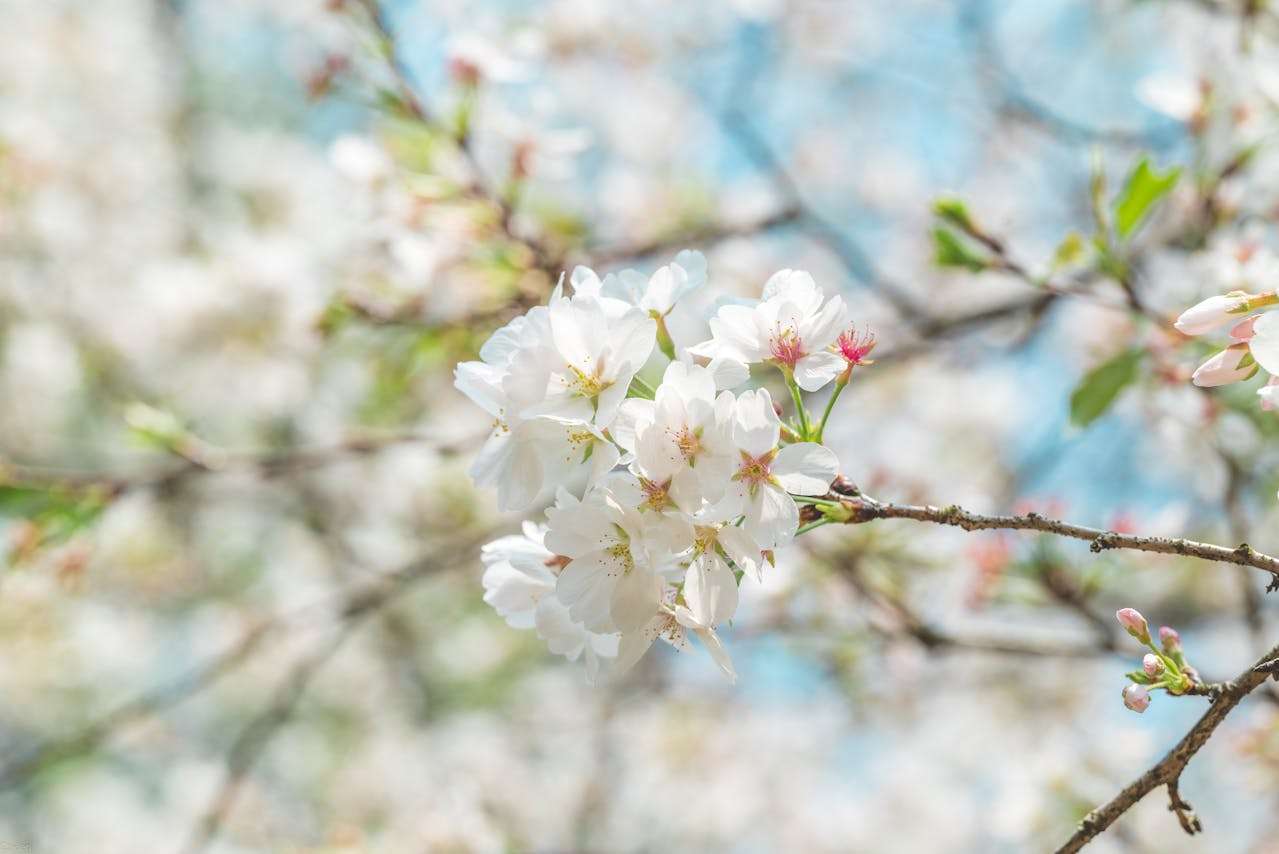 提升专业度：6个英文报价单跟进邮件模板助你赢得订单