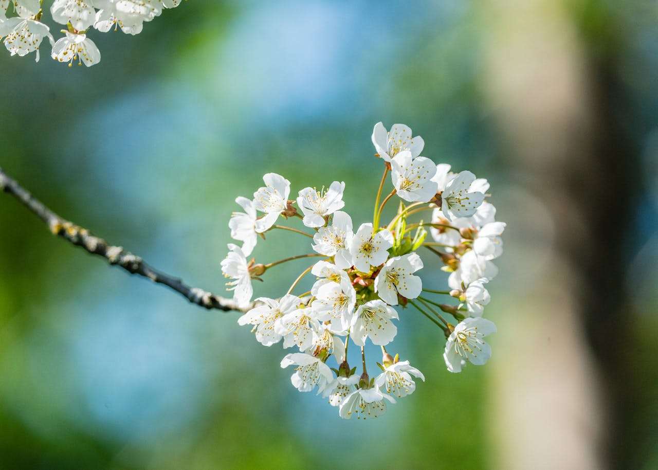 客户跟进不用愁：7个英文邮件模板教你持续维护客户关系