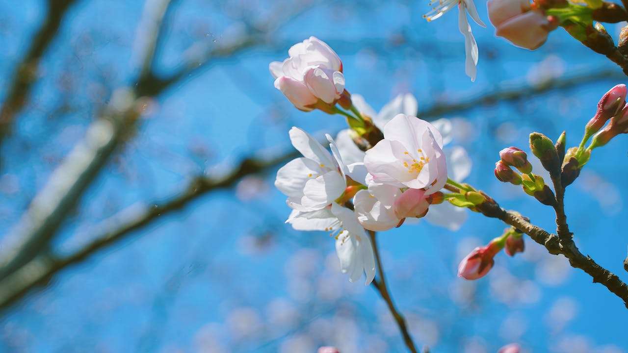 从询盘到成交：7个外贸全流程英文邮件模板