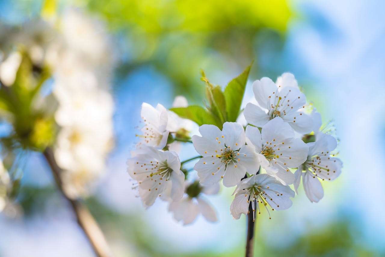 客户投诉别慌！8个英文售后处理邮件模板轻松应对