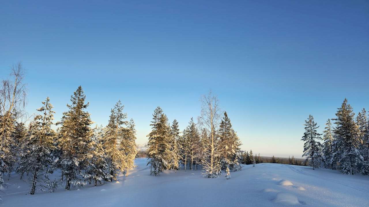 合同签订前必看：7个英文合同确认邮件模板实用指南