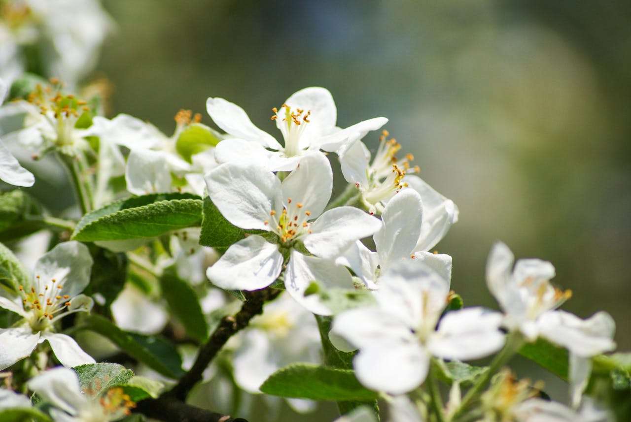 订单全流程覆盖：7个英文订单处理邮件模板，专业又高效