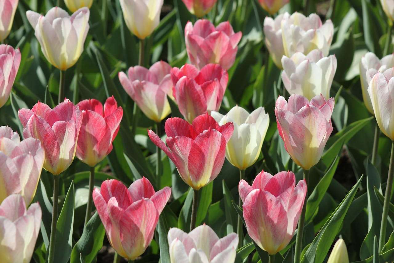 节日营销不抓瞎：7个节日促销英文邮件模板直接套用