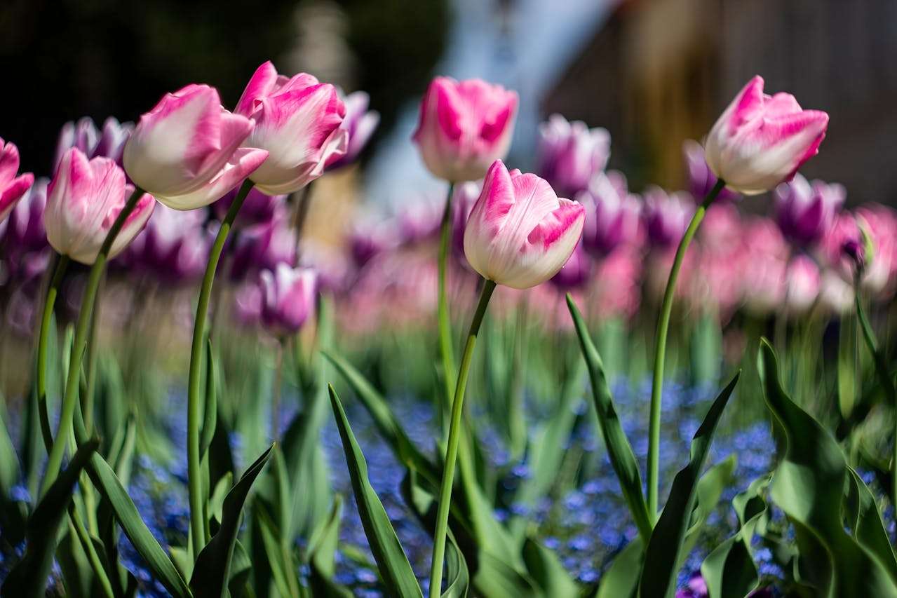 节日营销怎么做？7个英文促销邮件模板提升客户打开率