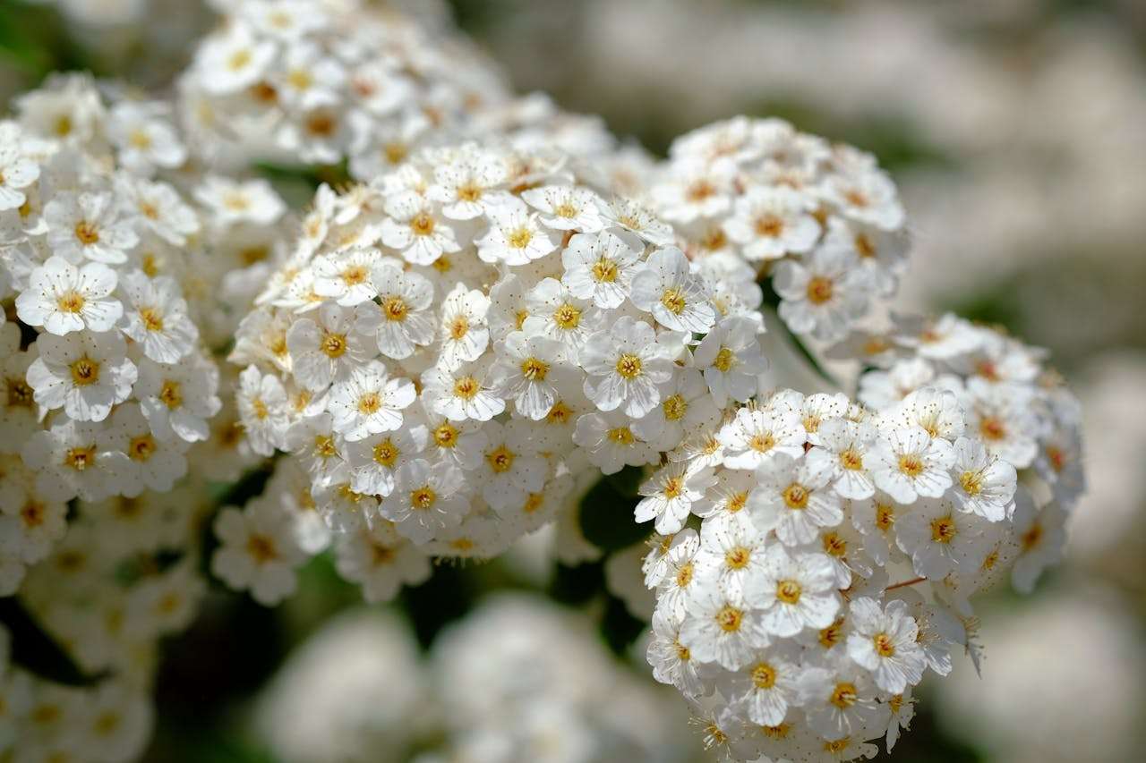 物流沟通不犯难：8个英文货运与清关邮件模板全解析