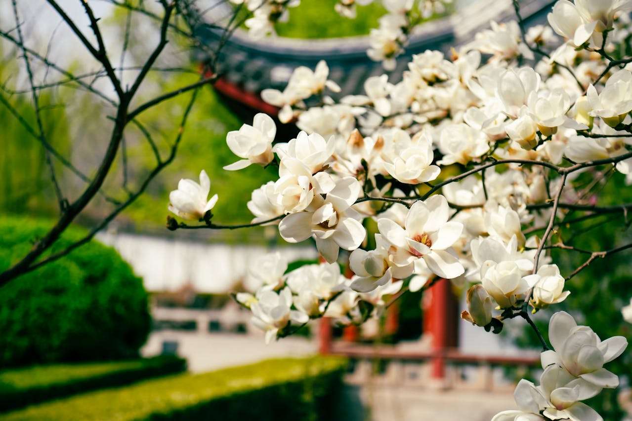 我的假期生活：4篇初中英语作文+中文翻译与点评