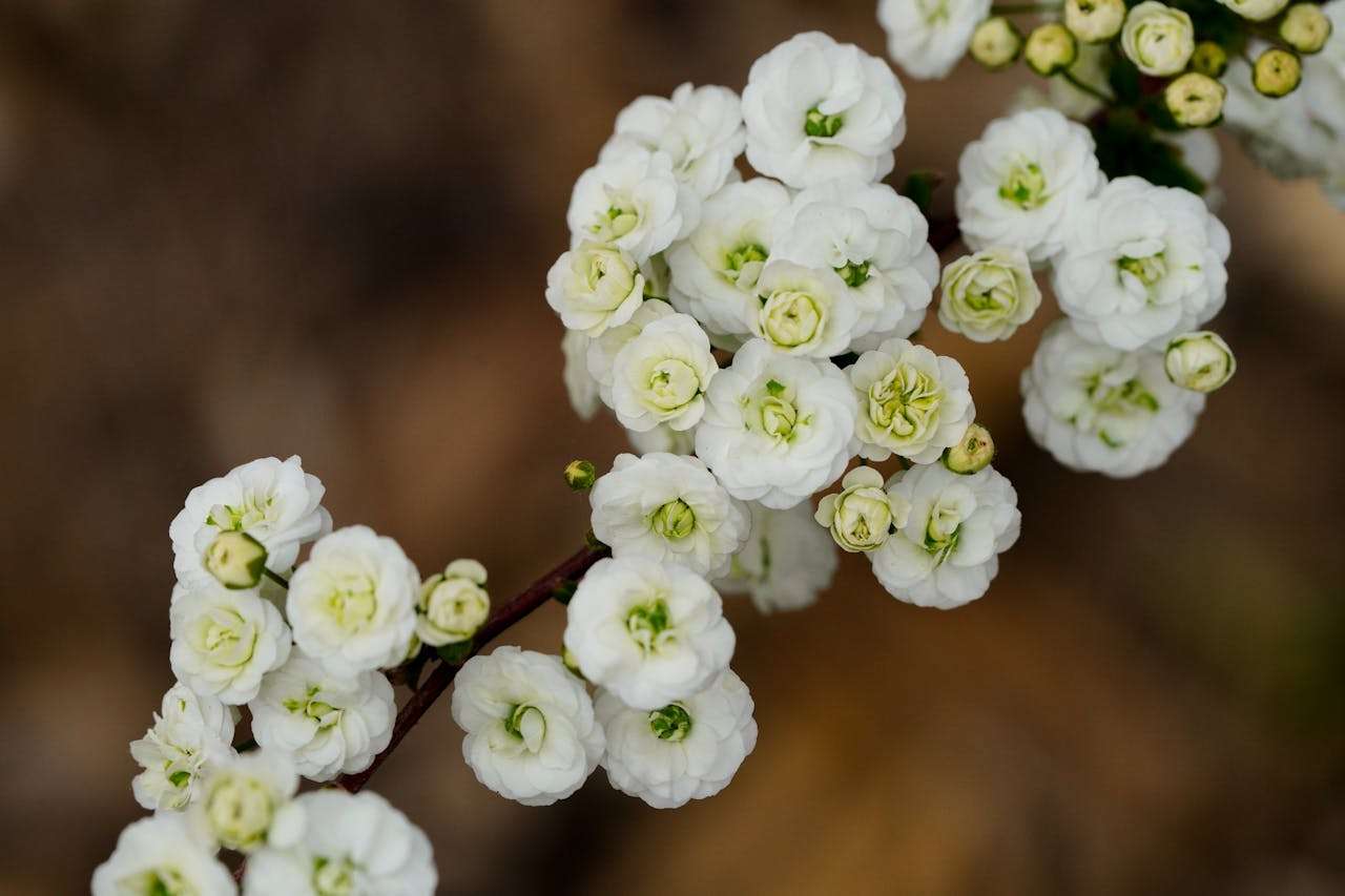 如何学好英语：5篇初中生英语学习经验作文 