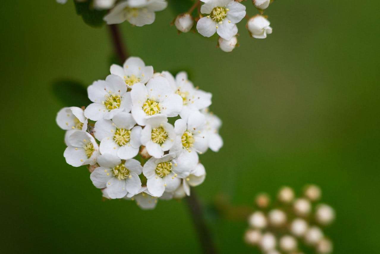 高考英语写作必备：校园生活类英语作文5篇精讲