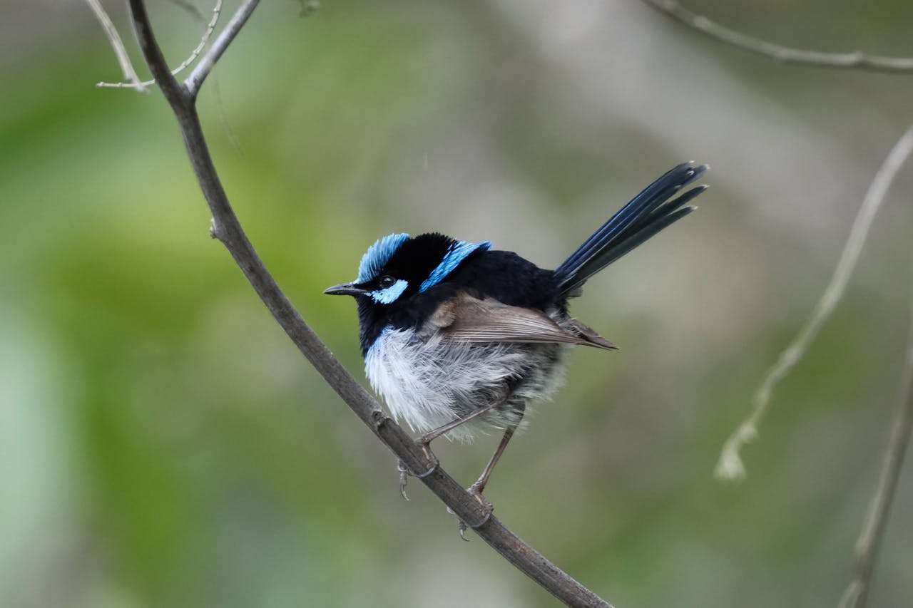 高中环保主题英语作文5篇：从身边小事做起