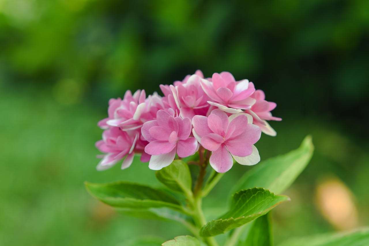 友谊主题英语作文怎么写？3篇高中英语作文+写作技巧全解析